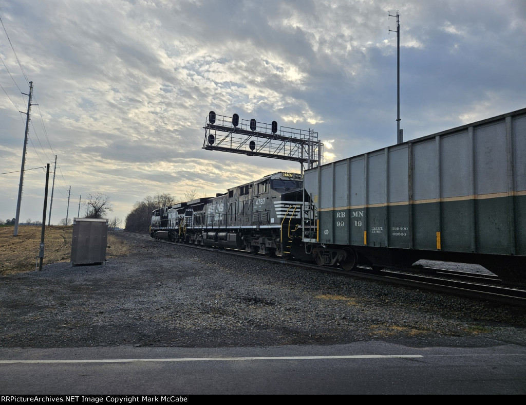 NS 10K
